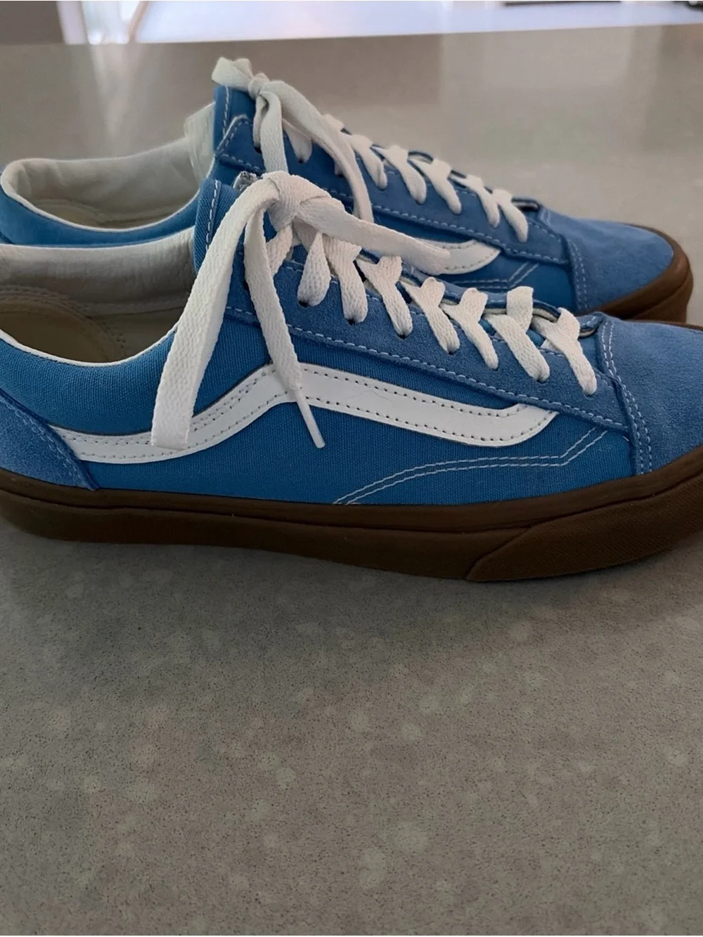 Vans Men's Low-Top Sneakers in Blue with White Stripe